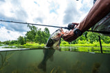Shimano 2026 Curado DC Baitcasting Reels (Pre-Order)-Baitcast Reel-Shimano-Tackle World