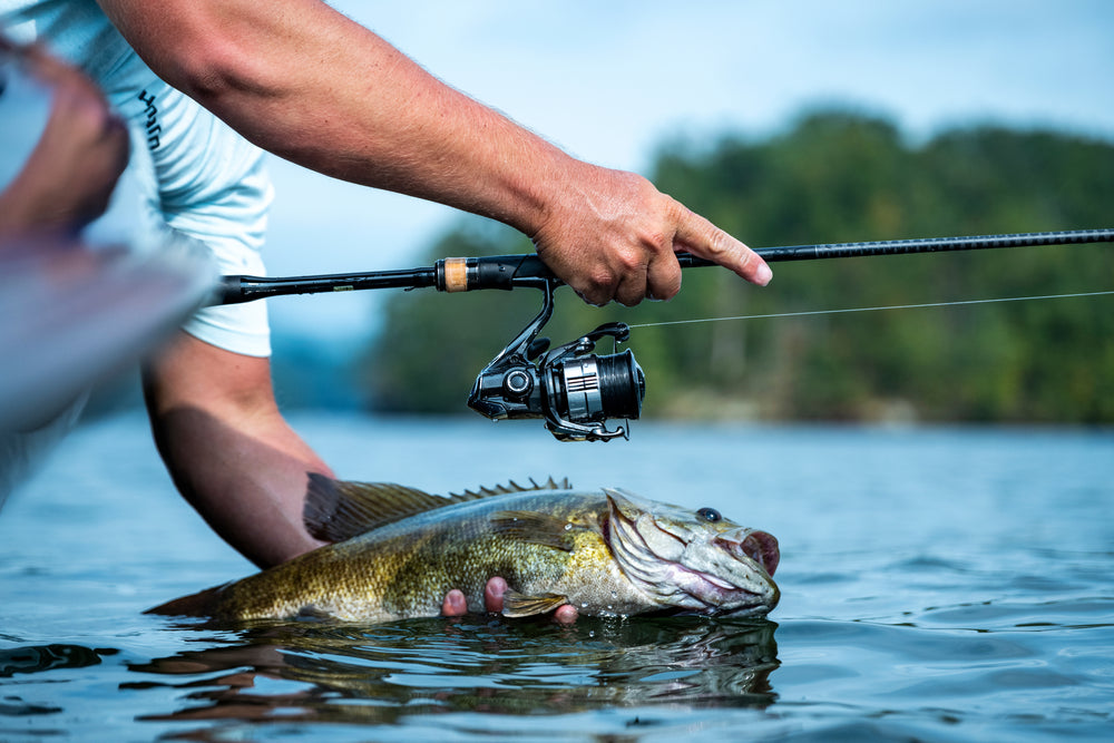 Shimano 2026 Vanquish C Spinning Reels (Pre-Order)-Reel-Shimano-Tackle World