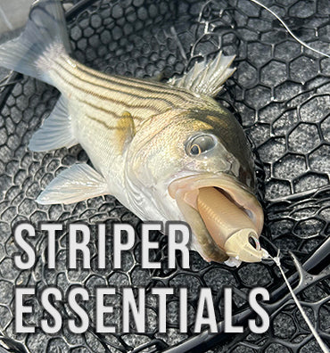 Striped Bass Fishing Accessories