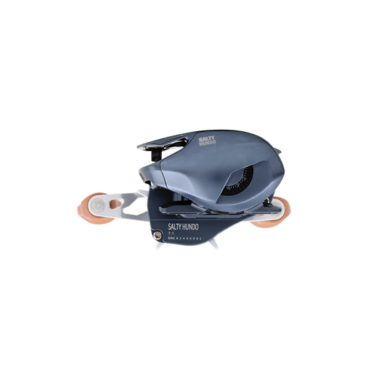 Bates Salty Hundo Baitcasting Reels-Reel-Bates-Tackle World