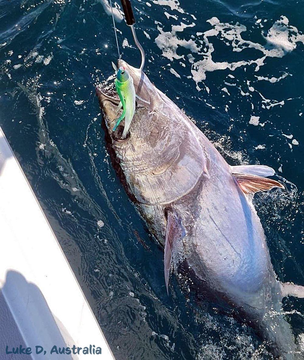 Small Lure Company Cruiser-T Bullet Trolling Lures-Lures-Small Lure Company-Tackle World