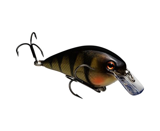 Strike King KVD 1,5 Esca Per Esca Silenziosa Fattura Quadrata Strike King KVD 1,5 Esca Per Esca Silenziosa Fattura Quadrata