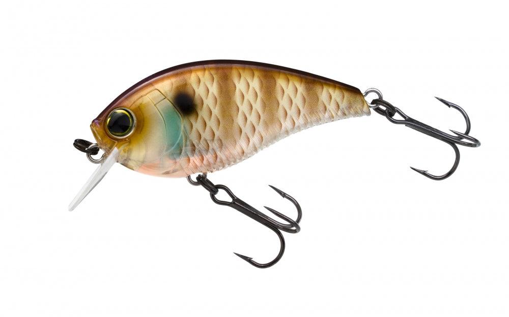 Yo-Zuri 3DB 1.5 Squarebill Floating Lure-Lures-Yo-Zuri-Tackle World