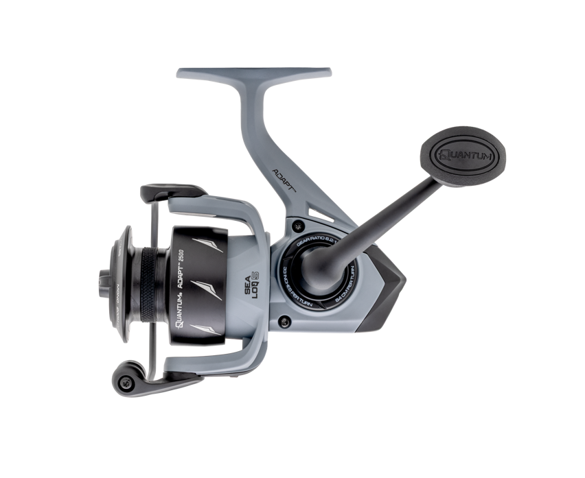 Quantum Adapt Spinning Combos-Combo-Quantum-Tackle World