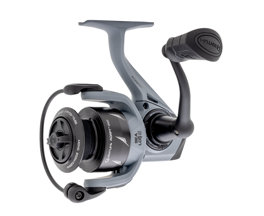 Quantum Adapt Spinning Combos-Combo-Quantum-Tackle World