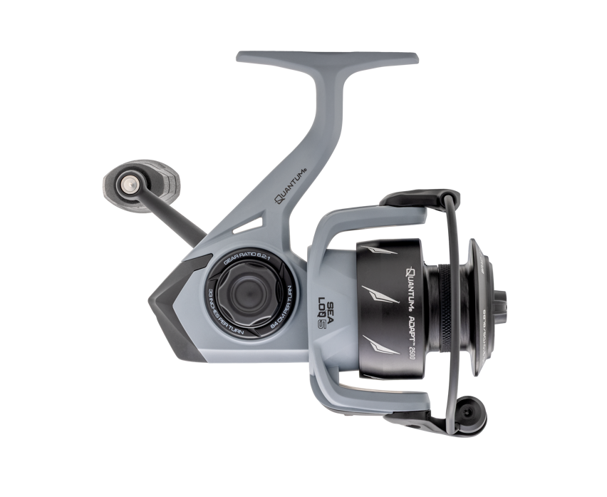 Quantum Adapt Spinning Combos-Combo-Quantum-Tackle World
