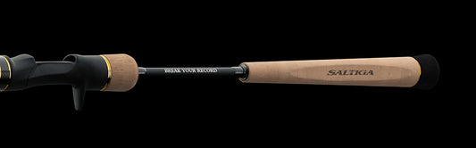Daiwa 2025 Saltiga Slow Pitch Jigging Casting Rods
