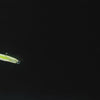 Berkley Lab Series Flat Worm Soft Plastics