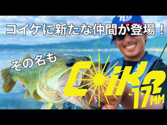 Hideup Coike 17mm Urchin Baits