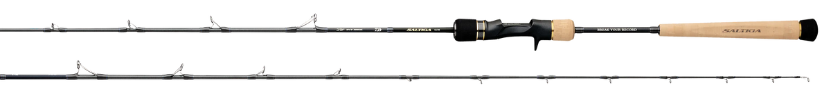 Daiwa 2025 Saltiga Slow Pitch Jigging Casting Rods