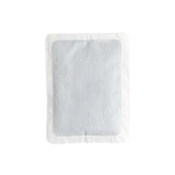 Thaw Disposable Hand Warmers